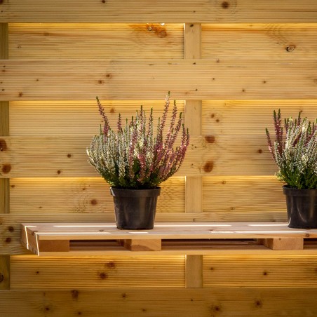 Wooden pallet shelf