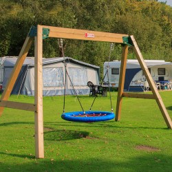 Commercial wooden swing with nest swing