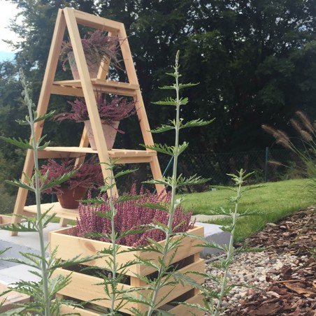 Wooden shelf | garden ladder