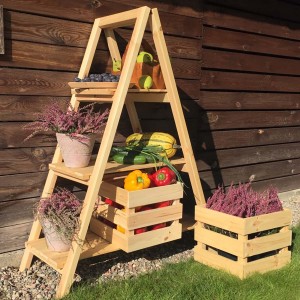 Wooden shelf | garden ladder