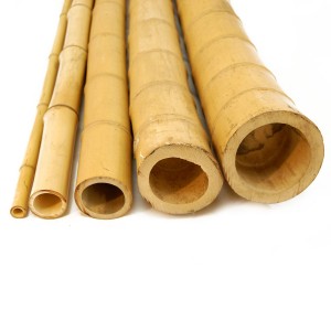 Bamboo poles