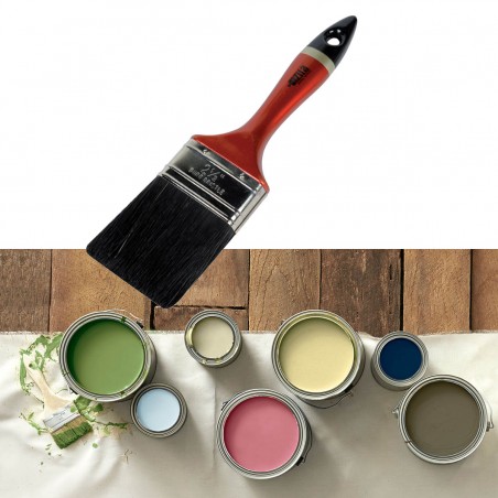 Paint brush professional