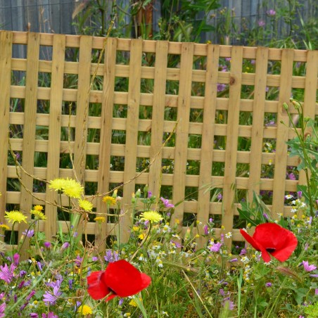 Square climbing trellis (3 x 3)