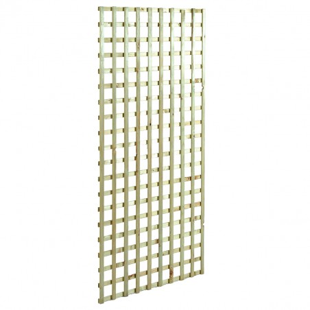 Square climbing trellis 6 x 6