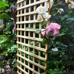 Square climbing trellis