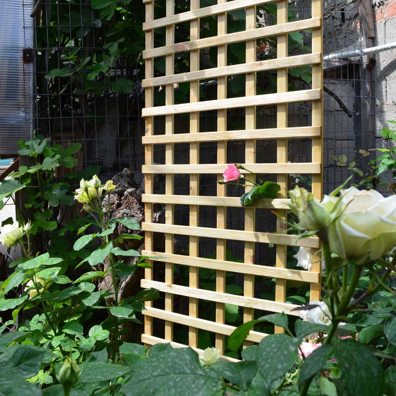 Square climbing trellis