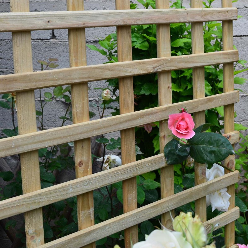 Square climbing trellis