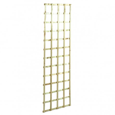 Square climbing trellis 12 x 12