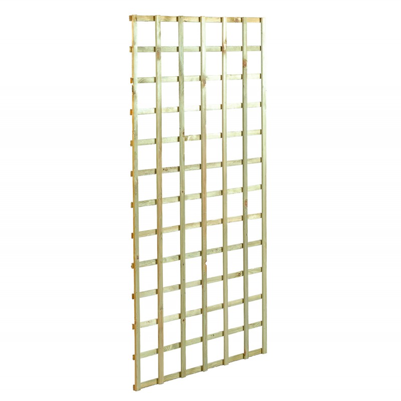 trellis, pergola for fencing and climbing plants