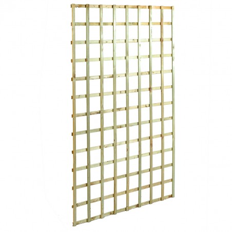 Square climbing trellis 12 x 12