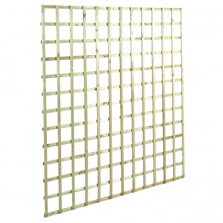 Square climbing trellis 12 x 12