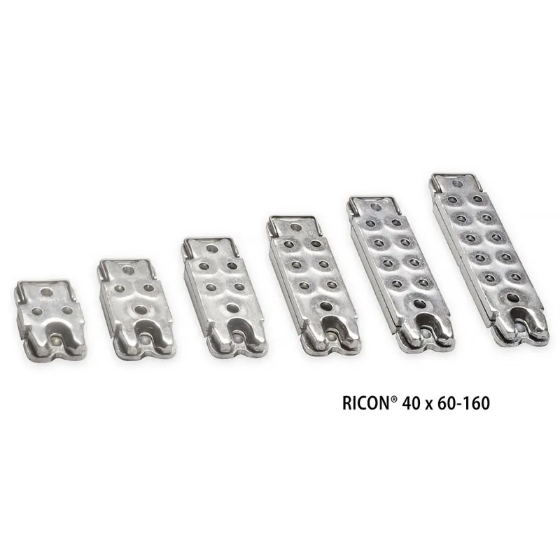 Κρυφός σύνδεσμος Ricon