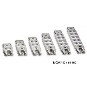 Κρυφός σύνδεσμος Ricon