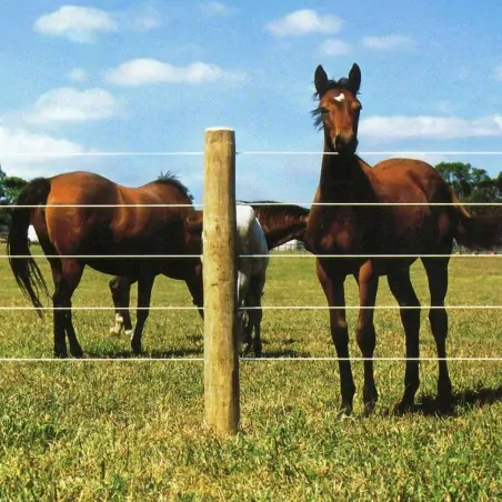 Ξύλινος πάσσαλος Ø12εκ. Ø12 x 300εκ.