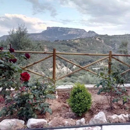 Ξύλινος πάσσαλος Ø6εκ. Ø6 x 100εκ. | με μύτη