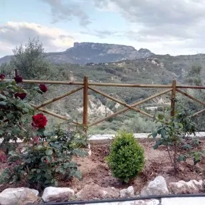 Ξύλινος πάσσαλος Ø6εκ.