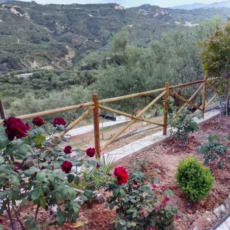 Ξύλινος πάσσαλος Ø6εκ. Ø6 x 100εκ. | με μύτη