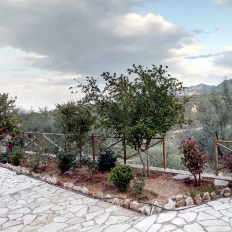 Ξύλινος πάσσαλος Ø6εκ. Ø6 x 100εκ. | με μύτη