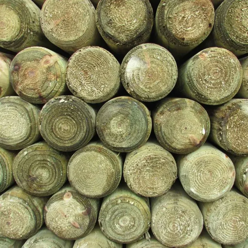 Pressure treated pole Ø10cm