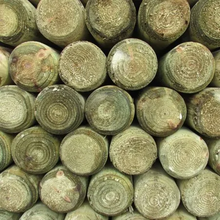 Pressure treated pole Ø10cm Ø10 x 300cm