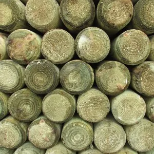 Pressure treated pole Ø10cm