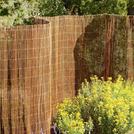 Willow fencing