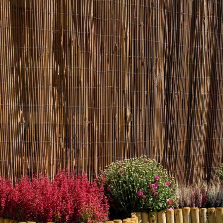 Willow fencing