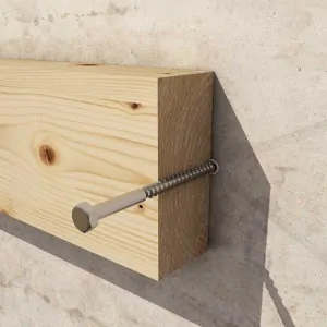 Hexagonal head screw