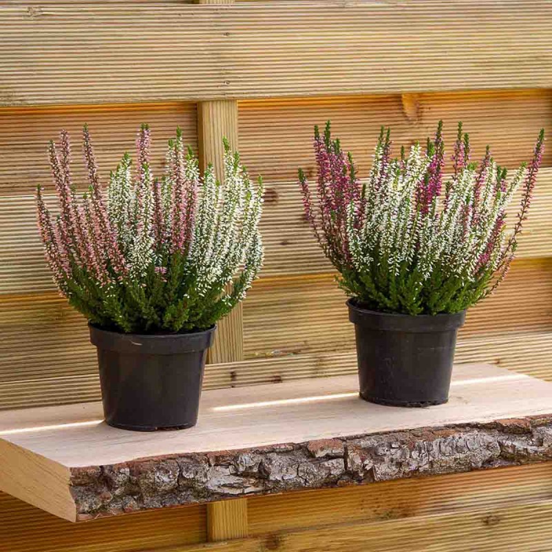 Rustic wooden shelf for placing books, decorations, pots, and clothes.