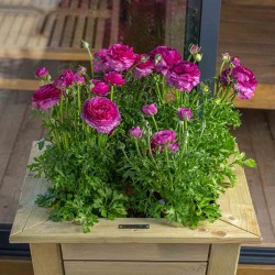 Wooden flower planter