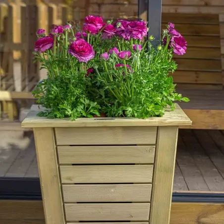 Wooden flower planter Wooden conical planter 58(h) x 50 x  50cm