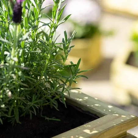 Wooden square flower planter WOODEN POT SQUARE 40(H) x 40 x 40cm.