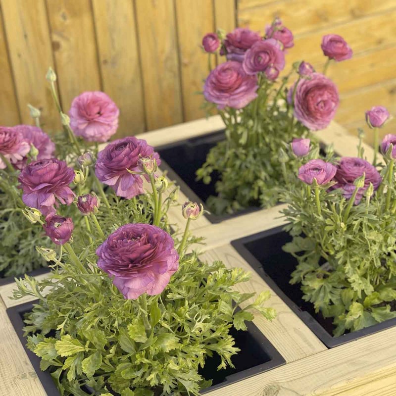 Custom made wooden flower planter by SHOWOOD