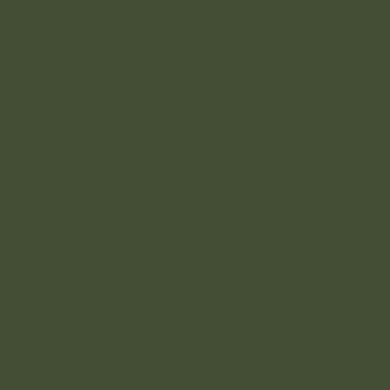 Χρώμα ξύλου Little Greene | Mid Bronze Green 125