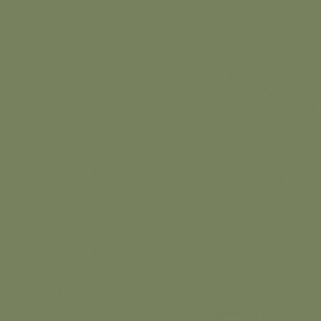 Χρώμα ξύλου Little Greene | Sage Green 80