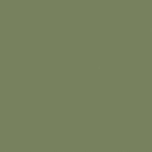 Χρώμα ξύλου Little Greene | Sage Green 80