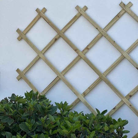 Expanding wall trellis-pergola