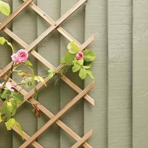 Expanding wall trellis-pergola