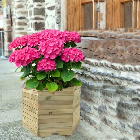 Wooden hexagonal planter 56(h) x Φ65cm