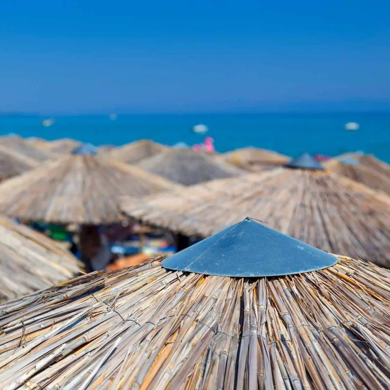 Beach umbrella by Reed cane Ø220cm