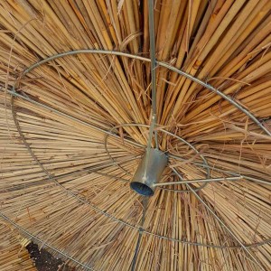 Beach umbrella by reed cane