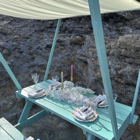 Picnic table with canopy