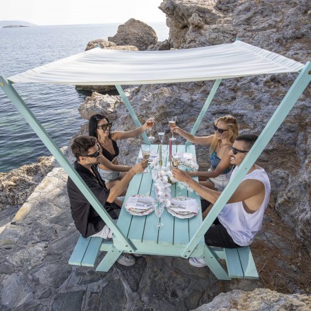 Picnic table with canopy