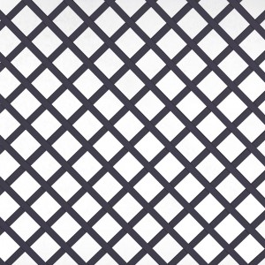 PVC trellis 4,8 x 4,8  | black