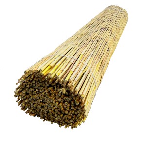 Roll cane