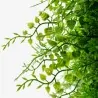 Green Wall Premium 50 x 50cm - Fern