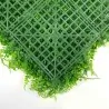 Green Wall Premium 50 x 50cm - Fern
