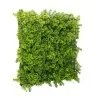 Green Wall Premium 50 x 50cm - Moss