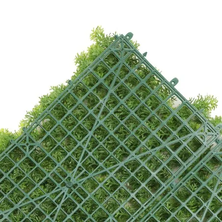 Green Wall Premium 50 x 50cm - Moss