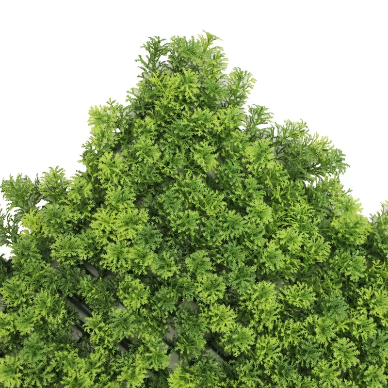 Green Wall Premium 50 x 50cm - Moss